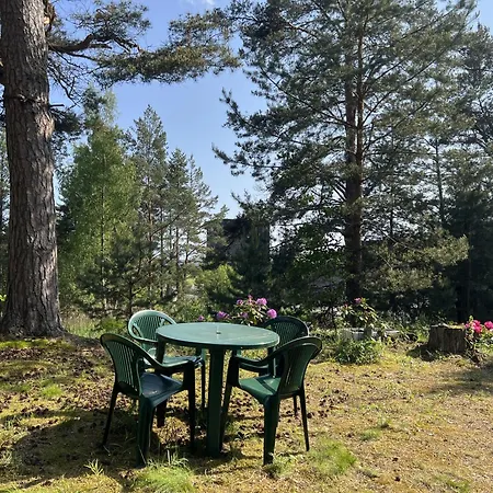 Vesiroos * Alajoe