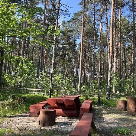 Vesiroos * Alajõe